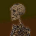 Skeleton.png