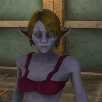 Erelka.png