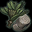 Herbs.png