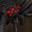 Spider.png